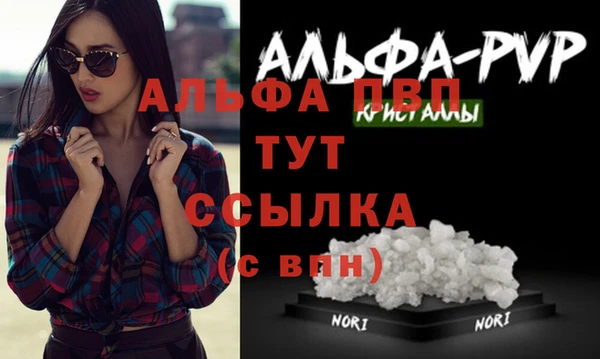 ALPHA PVP Елизово