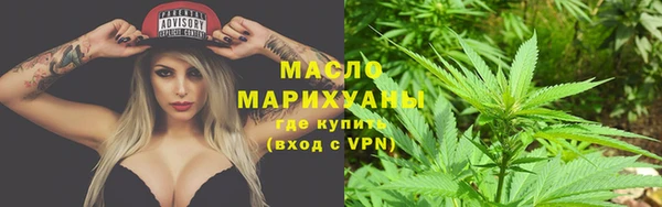 ECSTASY Ельня