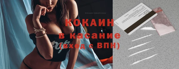 ECSTASY Ельня