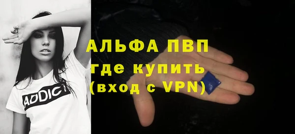 ECSTASY Ельня