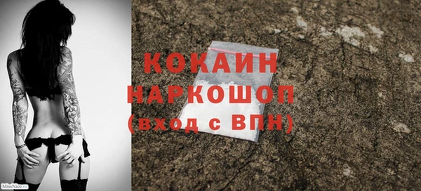 ALPHA PVP Елизово