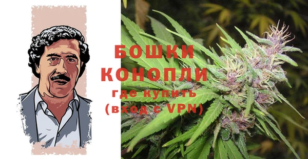 ECSTASY Ельня