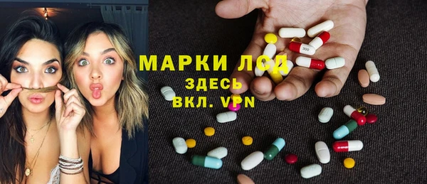 ECSTASY Ельня