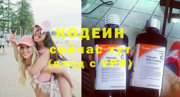дживик Елабуга