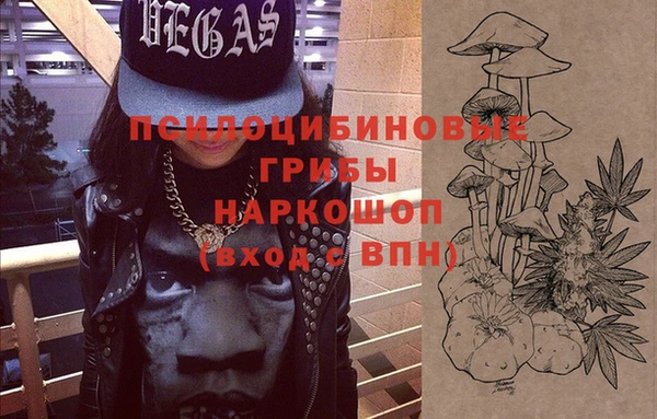 дживик Елабуга