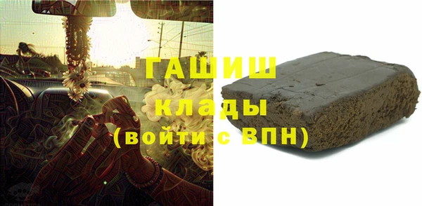 ECSTASY Ельня