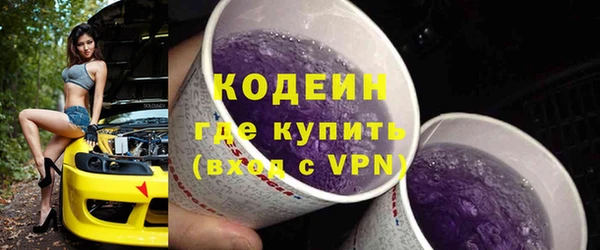 дживик Елабуга
