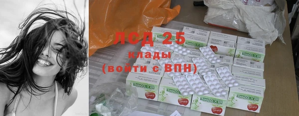 ECSTASY Ельня