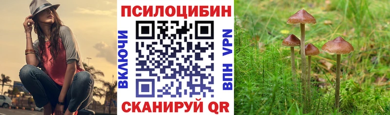 Купить  Калачинск  Галлюциногенные грибы ЛСД 